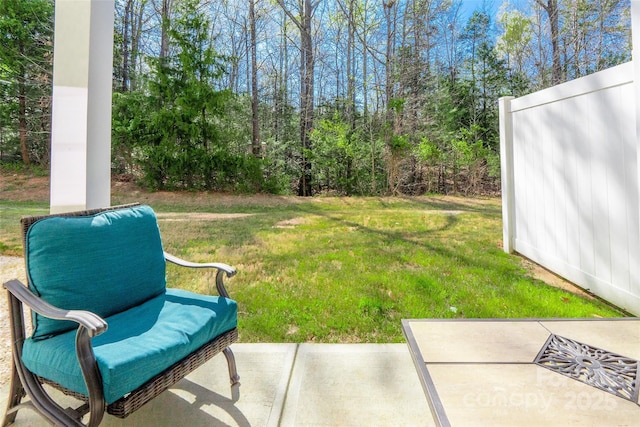 view of yard featuring a patio area