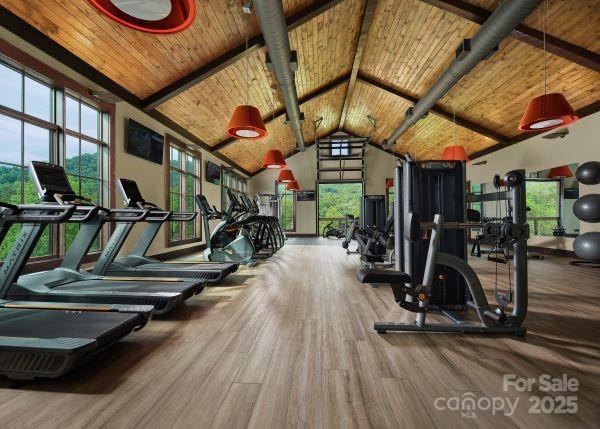 58 Country Cottage Ln, Canton, NC 28716 - gym with high vaulted ceiling, plenty of natural light, wooden ceiling, and wood finished floors