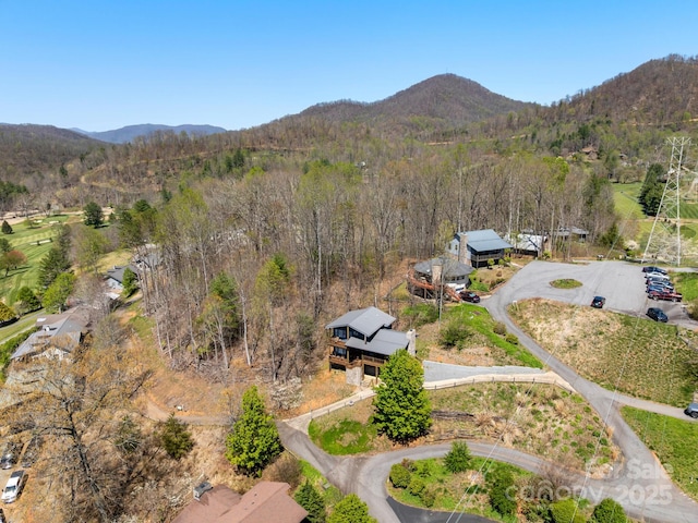 58 Country Cottage Ln, Canton, NC 28716 - aerial view featuring a mountain view and a wooded view
