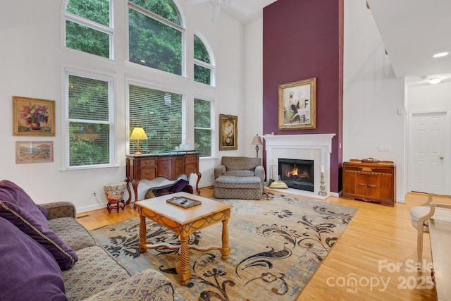 1102 High Brook Dr, Waxhaw, NC 28173 - living room with a towering ceiling, plenty of natural light, wood finished floors, a lit fireplace, and baseboards