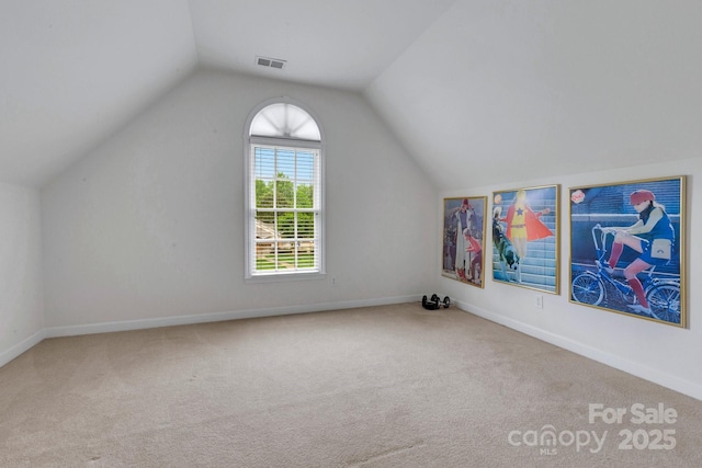 1102 High Brook Dr, Waxhaw, NC 28173 - additional living space featuring carpet flooring and lofted ceiling