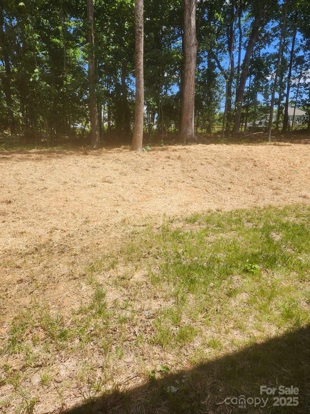 4731 Whispering Oaks Dr, Charlotte, NC 28213 - view of local wilderness