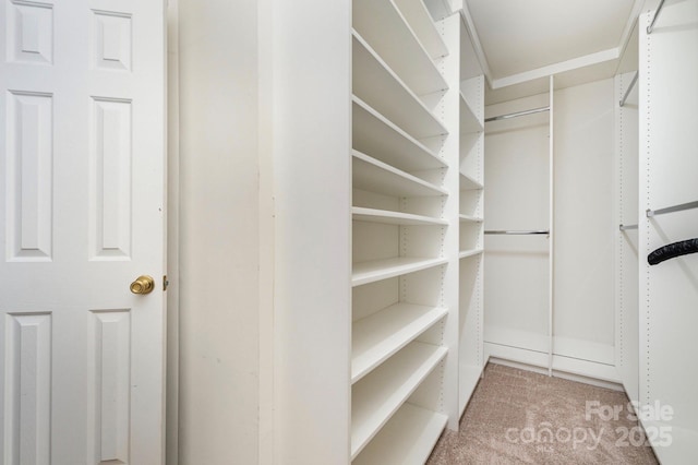 1720 Chamberside Dr, Rock Hill, SC 29730 - walk in closet with carpet flooring
