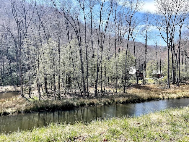 7810 Little Snowbird Rd, Robbinsville, NC 28771 - water view