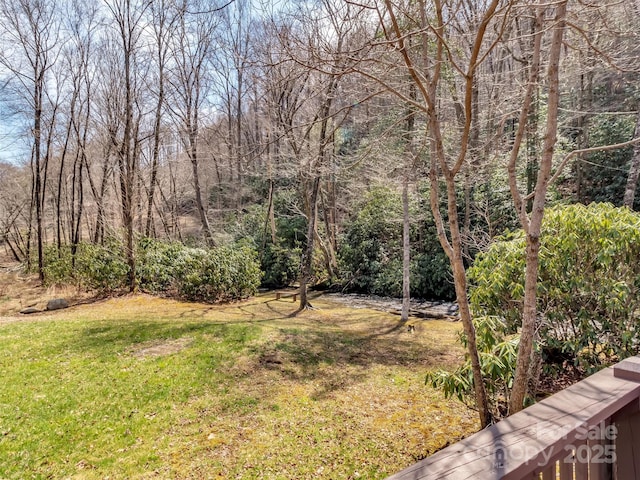 7810 Little Snowbird Rd, Robbinsville, NC 28771 - view of grassy yard