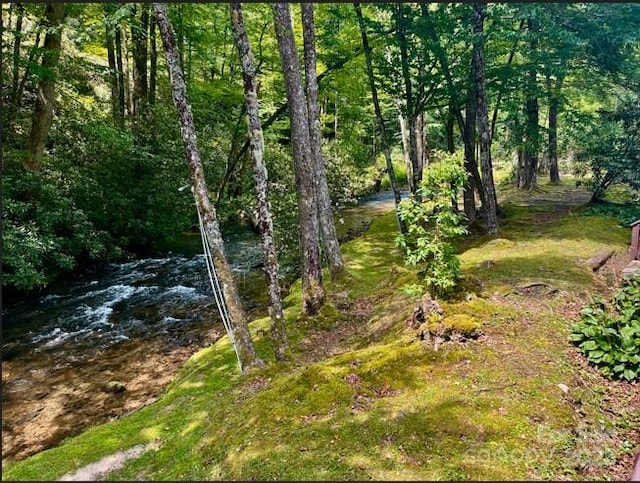 7810 Little Snowbird Rd, Robbinsville, NC 28771 - view of nature