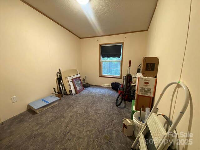 3213 Piedmont Rd, Morganton, NC 28655 - photo 28