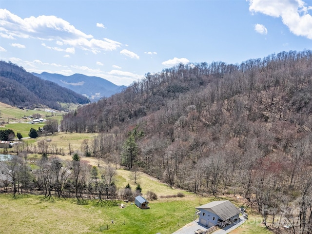 153 Trinity Dr, Clyde, NC 28721 - photo 9
