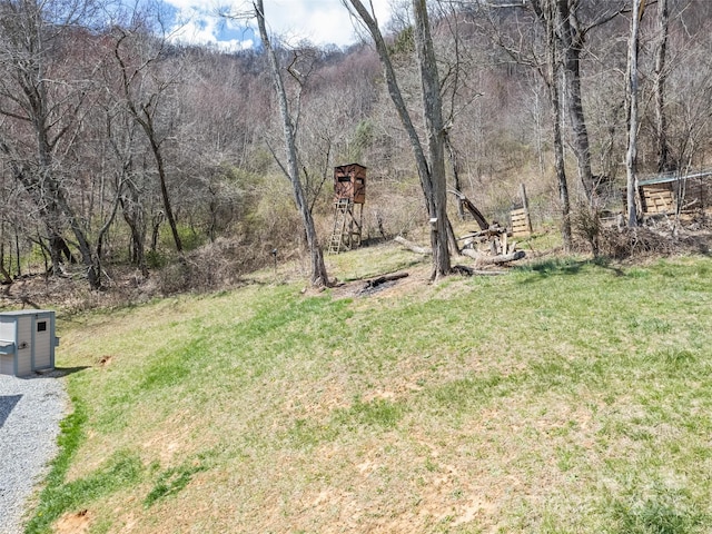 153 Trinity Dr, Clyde, NC 28721 - photo 10