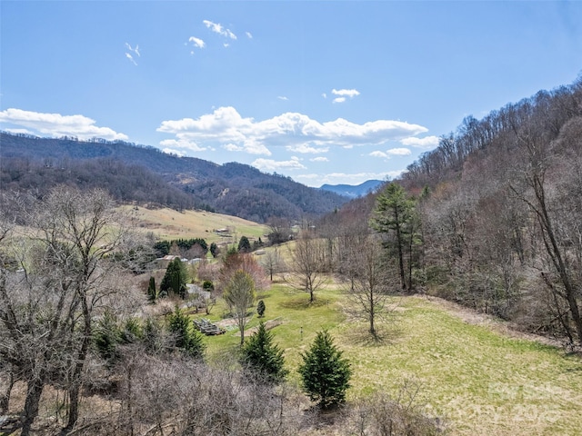153 Trinity Dr, Clyde, NC 28721 - photo 11