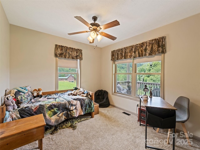 153 Trinity Dr, Clyde, NC 28721 - photo 32