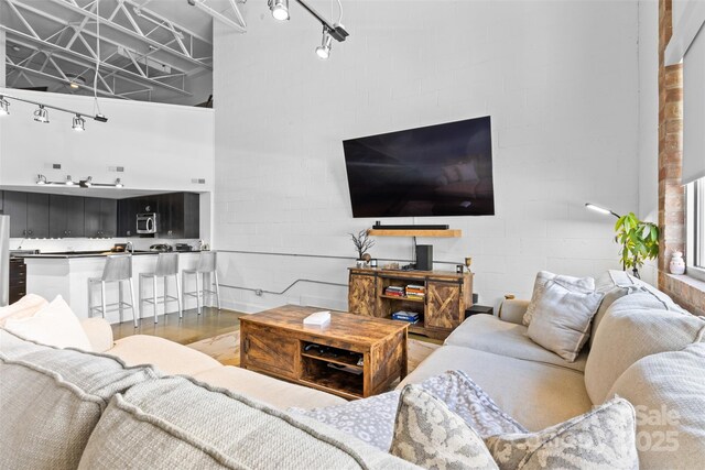 925 Westmere Ave, Charlotte, NC 28208 - living room featuring wood finished floors and a towering ceiling