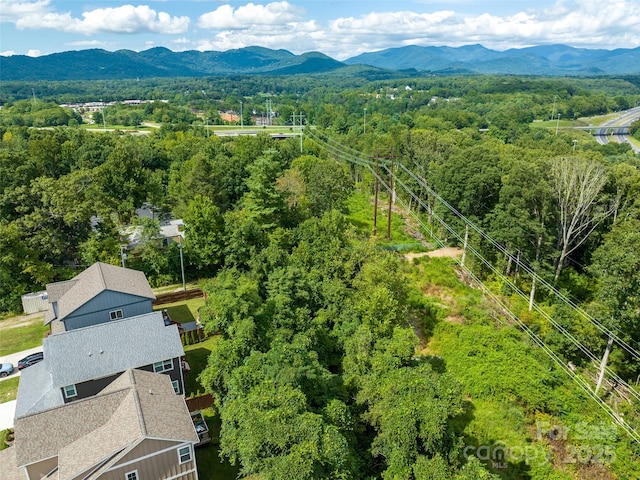 5 Shakedown St, Asheville, NC 28803