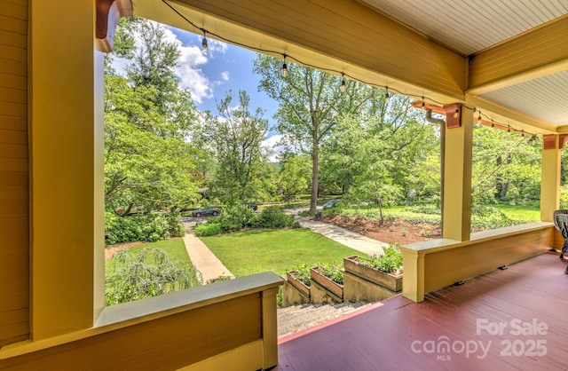 156 Cumberland Ave, Asheville, NC 28801 - view of patio / terrace with view of scattered trees