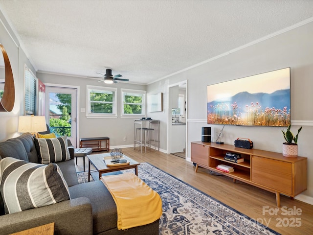 living room featuring crown molding and wood finished floors