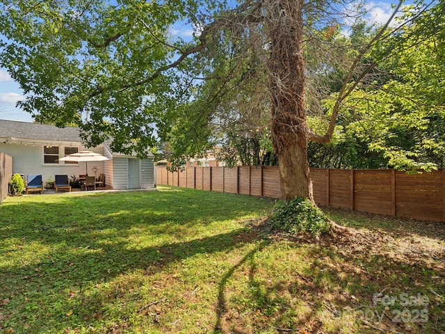 view of yard featuring a fenced backyard and a patio area