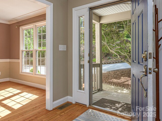 102 Galloway Dr, Asheville, NC 28803 - foyer entrance with a healthy amount of sunlight, baseboards, and wood finished floors