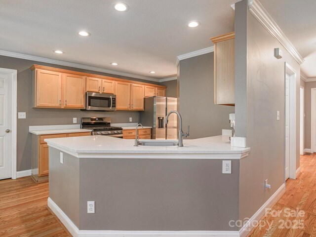 102 Galloway Dr, Asheville, NC 28803 - kitchen featuring crown molding, light countertops, stainless steel appliances, recessed lighting, and light wood-type flooring