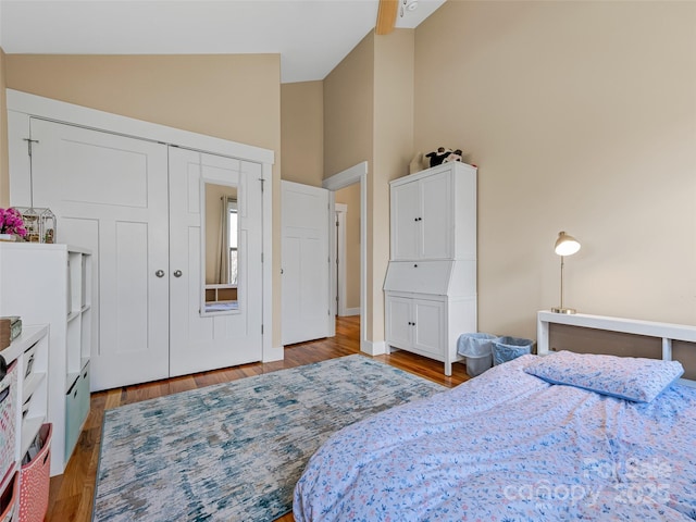 219 Westover Aly, Asheville, NC 28801 - bedroom featuring a closet, high vaulted ceiling, and wood finished floors