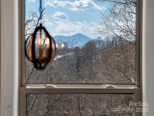 219 Westover Aly, Asheville, NC 28801 - room details with a mountain view