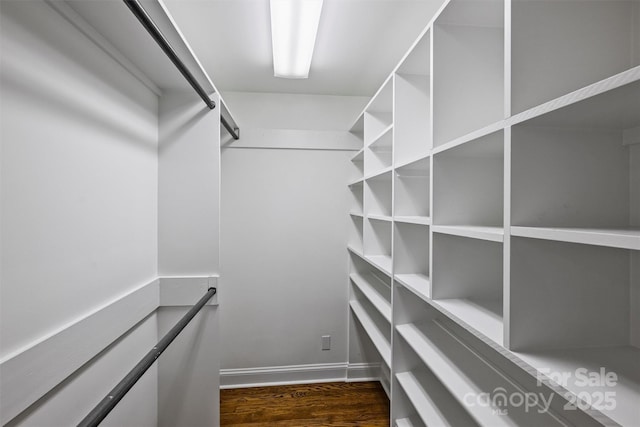walk in closet with dark wood-style flooring