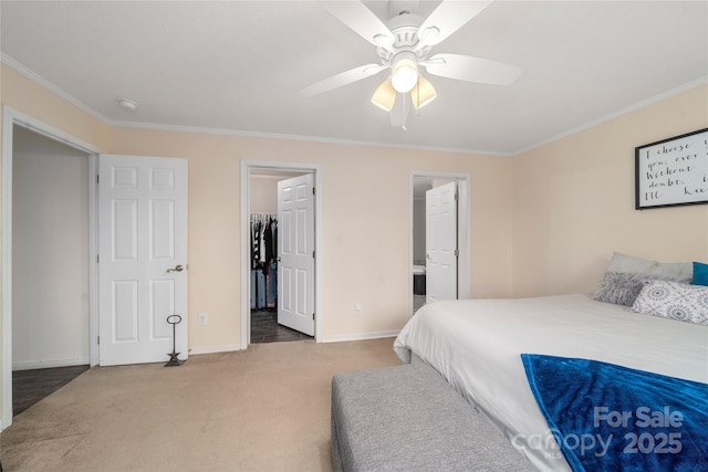 bedroom featuring carpet flooring, crown molding, baseboards, a ceiling fan, and a walk in closet