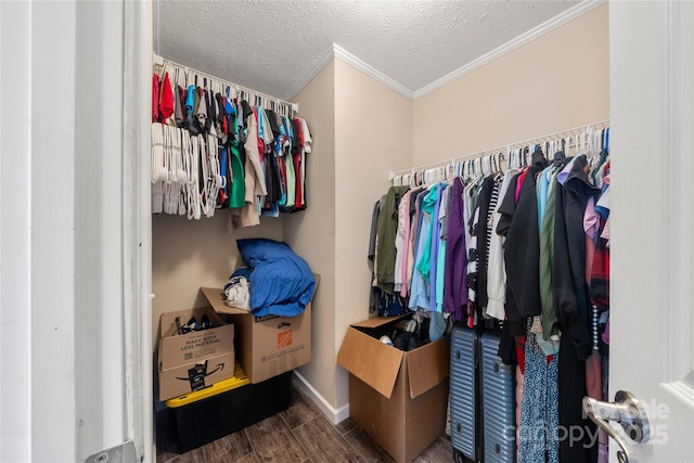 spacious closet featuring wood finished floors