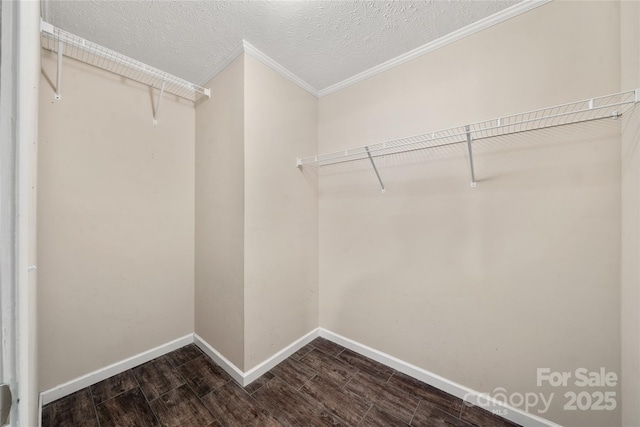 61 Evelyn Acres Dr, Asheville, NC 28806 - spacious closet with dark wood-style floors
