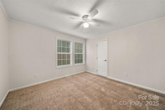 61 Evelyn Acres Dr, Asheville, NC 28806 - spare room with ceiling fan, carpet flooring, crown molding, and a textured ceiling