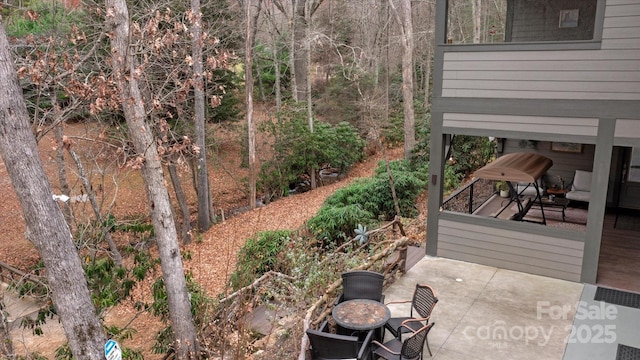 view of yard featuring a patio area