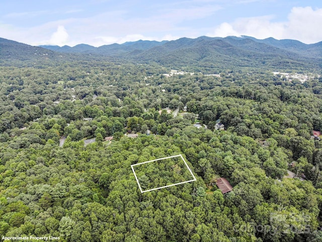 LOT2 Chinquapin Hl, Black Mountain, NC 28711