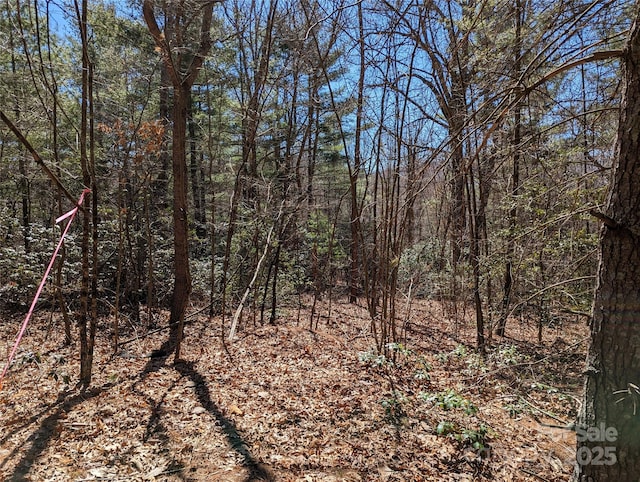 LOT2 Chinquapin Hl, Black Mountain, NC 28711
