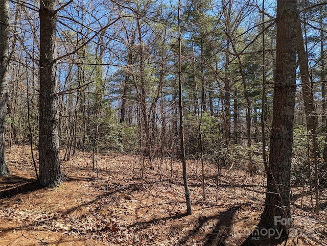 LOT2 Chinquapin Hl, Black Mountain, NC 28711
