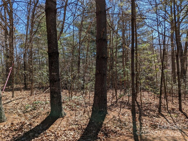 LOT2 Chinquapin Hl, Black Mountain, NC 28711