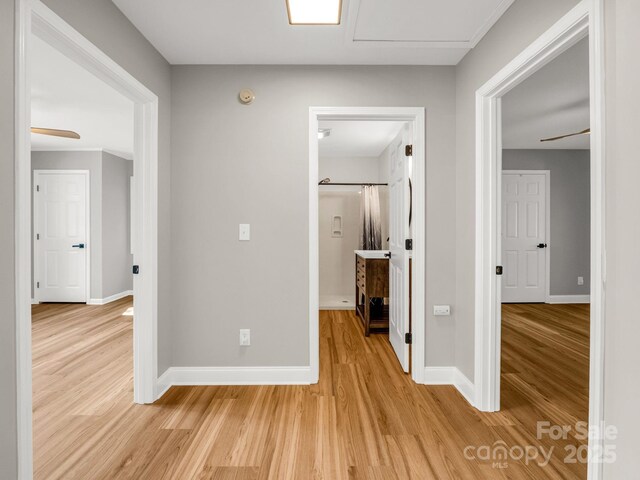 153 Old Lakey Gap Rd, Black Mountain, NC 28711 - hall with light wood finished floors and baseboards