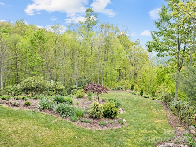 14 Chandra Ln, Clyde, NC 28721 - photo 9
