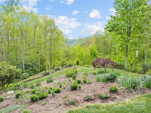 14 Chandra Ln, Clyde, NC 28721 - photo 10