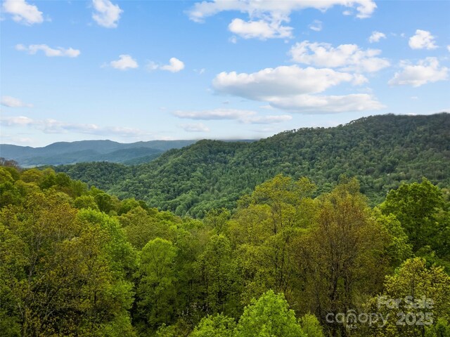 14 Chandra Ln, Clyde, NC 28721 - photo 11