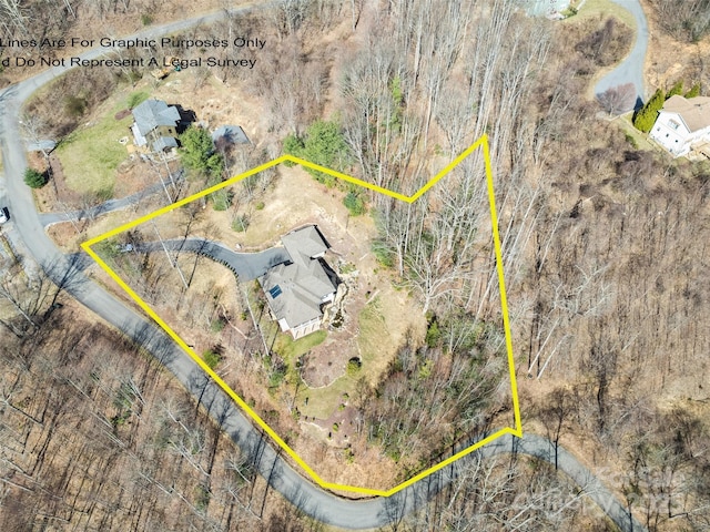 14 Chandra Ln, Clyde, NC 28721 - photo 14