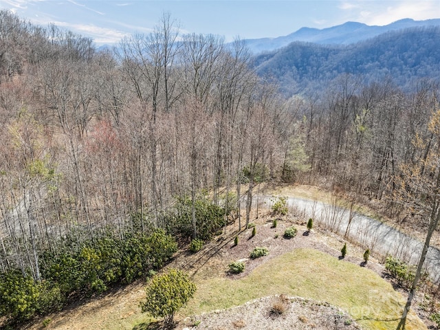 14 Chandra Ln, Clyde, NC 28721 - photo 15