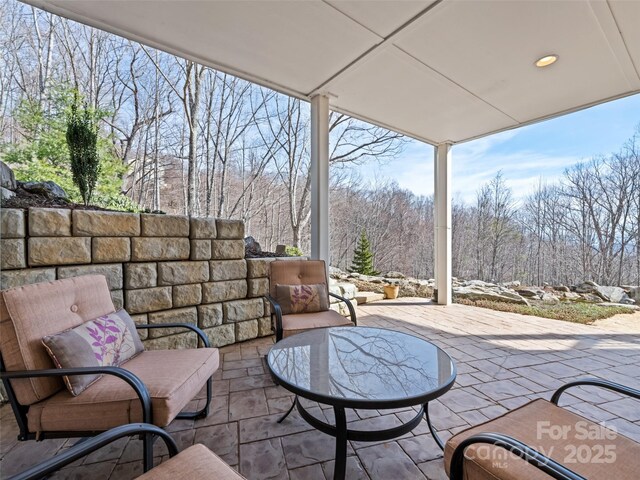 14 Chandra Ln, Clyde, NC 28721 - photo 19