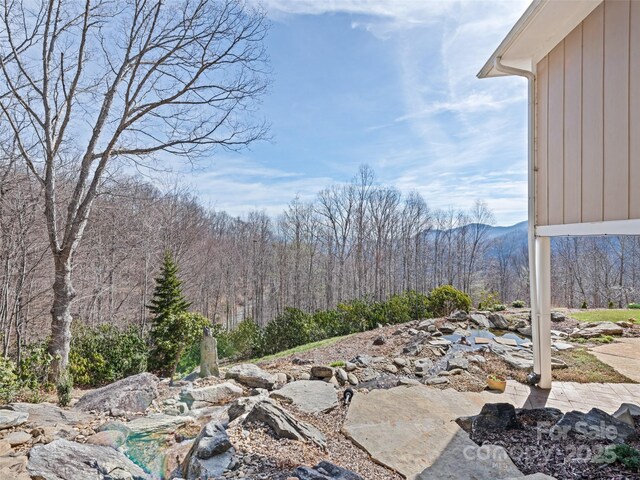 14 Chandra Ln, Clyde, NC 28721 - photo 21
