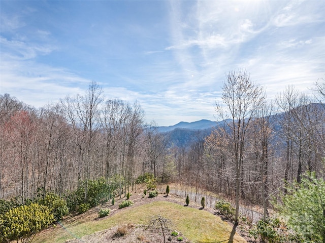 14 Chandra Ln, Clyde, NC 28721 - photo 22