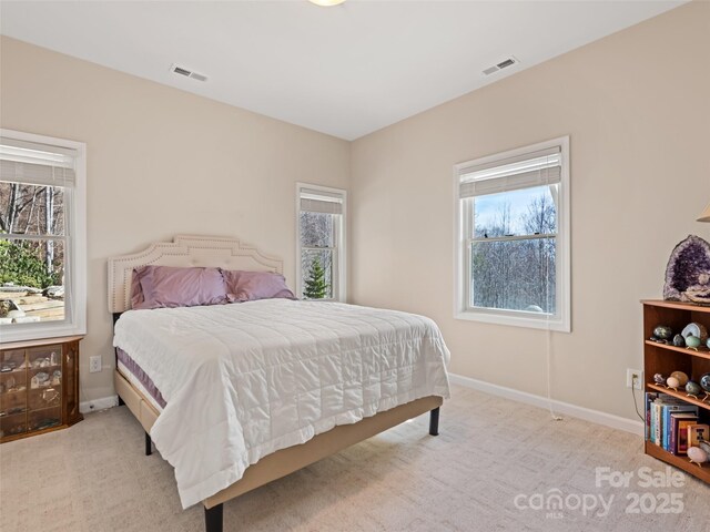 14 Chandra Ln, Clyde, NC 28721 - photo 42