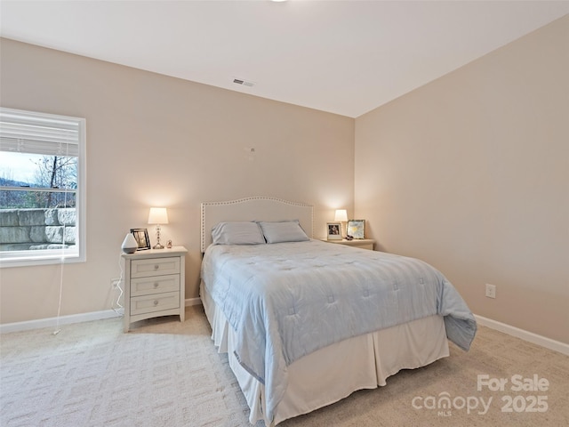 14 Chandra Ln, Clyde, NC 28721 - photo 45