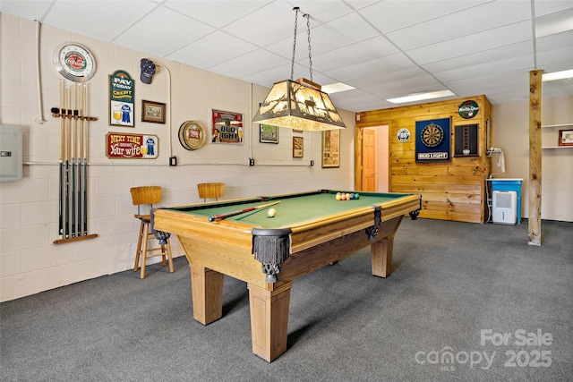2245 Mckenzie Way N Unit 754, Old Fort, NC 28762 - rec room featuring carpet floors, billiards table, and electric panel