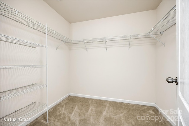 1929 Shorthorn St, Charlotte, NC 28213 - spacious closet with carpet floors