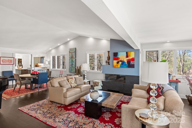 living room featuring lofted ceiling and wood finished floors