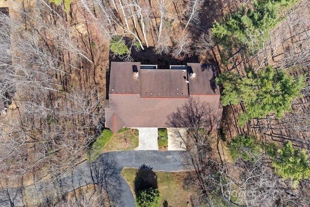 bird's eye view