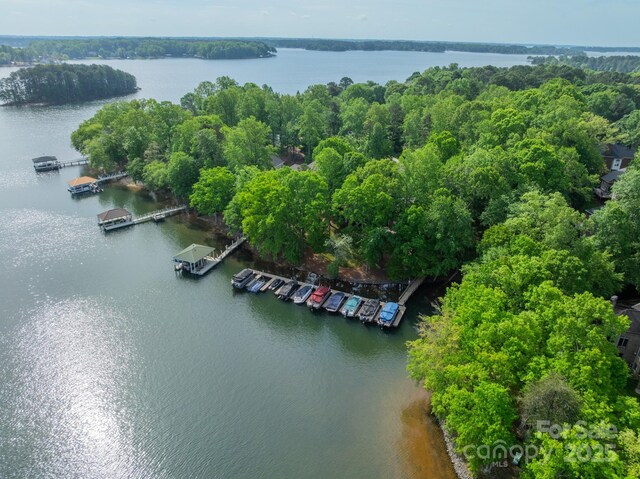 4646 Eagle Pointe Ct, Denver, NC 28037 - photo 39